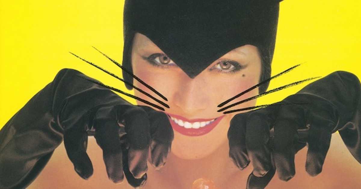 ブラック・キャッツの最高峰！ゴーゴーズとの全米ツアーから生まれた