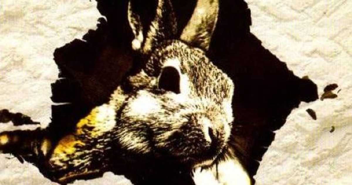 昭和から平成へ。ホコ天のボン・ジョヴィことRABBITは5代目イカ天キング