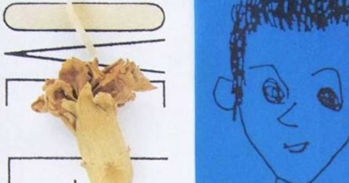 ブルーハーツ「ラブレター」甲本ヒロトのソウル（魂）がむき出す嘘の