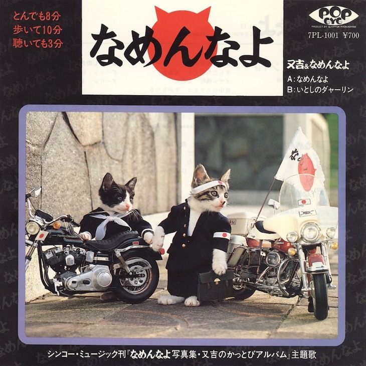 なめ猫は死なない M Bandが作り出す日活映画さながらの世界観 なめ猫は死なない M Bandが作り出す日活映画さながらの世界観