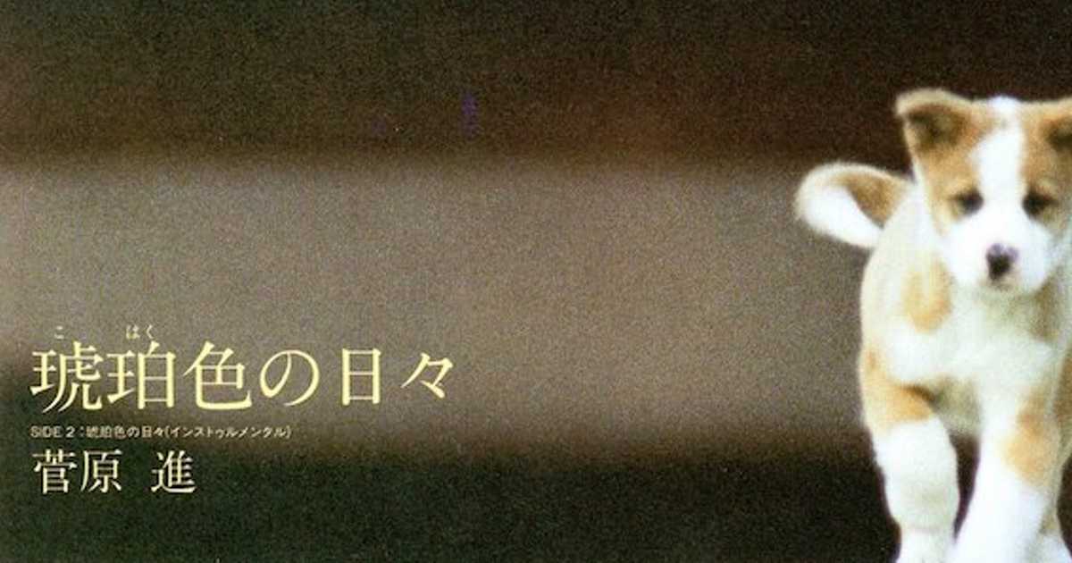 今なら炎上？ サントリーウイスキー不朽の名作CM「雨と犬」「ランボオ」